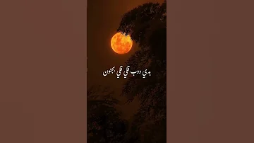 Elissa Baddy Doub Lyrics اليسا بدي دوب حالات واتس 
