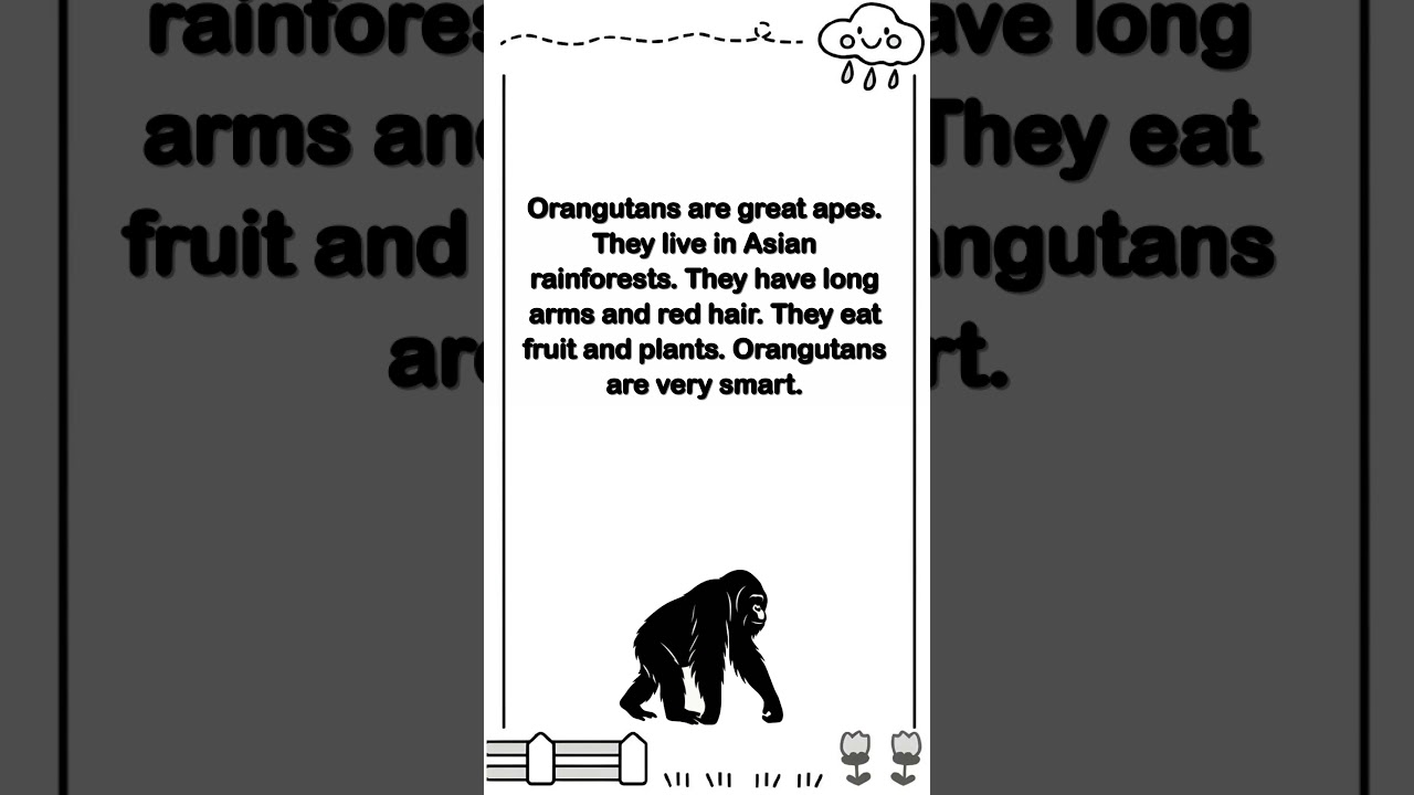 English Listening Practice | Discover Orangutans Today #learnenglish #englishlistening