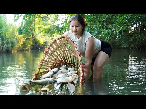 The girl trapped a large school of crucian carp in a homemade bamboo cage.