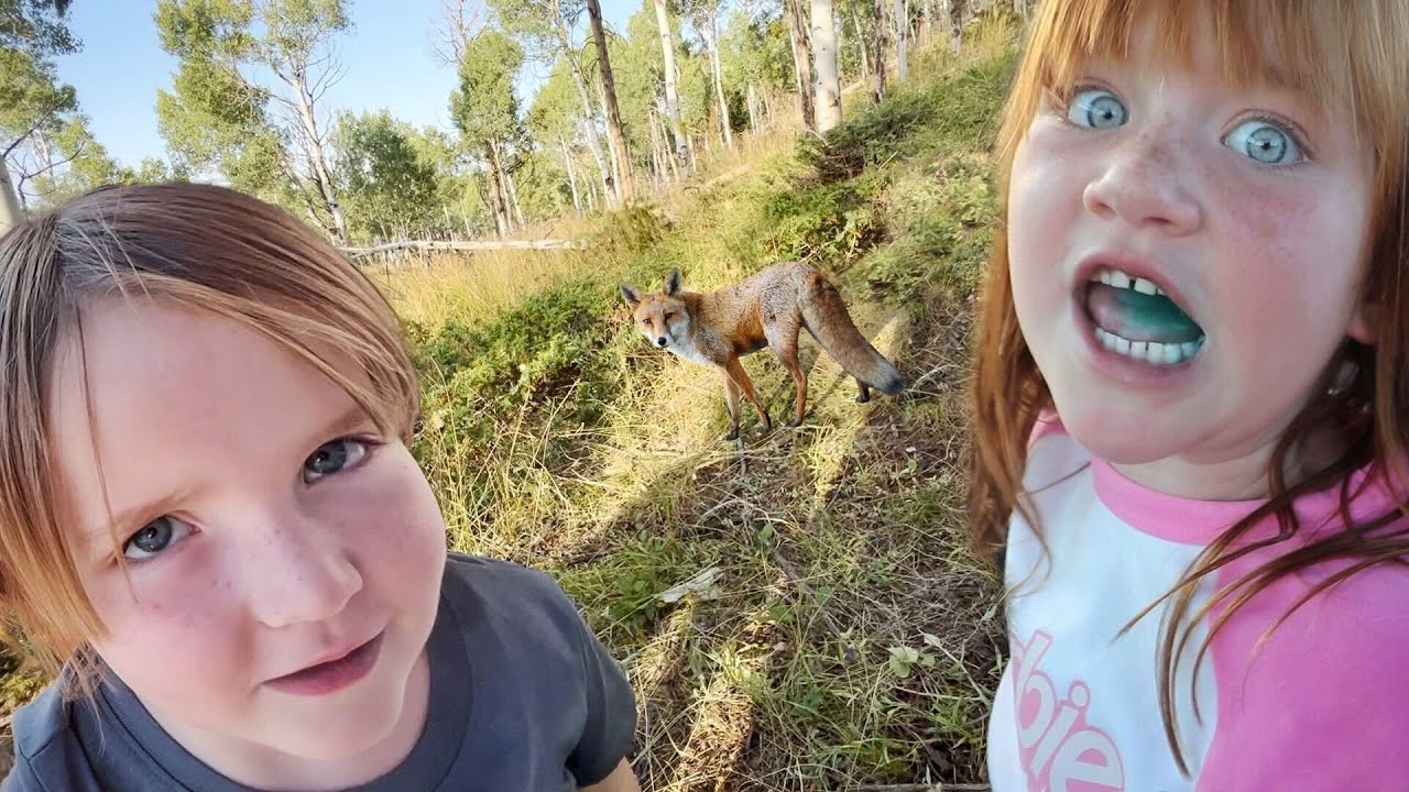 FEEDiNG A REAL FOX 🦊 Camping with Animals, Adley catches a Fish, Best