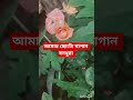 small garden friends with family comment subscribe haré Krishna hare Krishna !#
