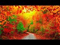 Beautiful Relaxing Hymns, Peaceful piano Music, "October Autumn Colors" in 4k by Tim Janis