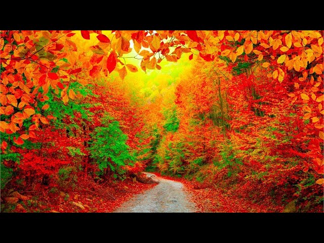 Beautiful Relaxing Hymns, Peaceful piano Music, October Autumn Colors in 4k by Tim Janis class=