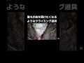 命を預けたくなるようなクライミング道具 #shorts