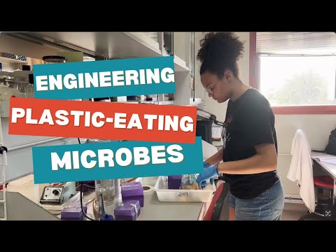 Engineering Plastic-Eating Microbes in Spain
