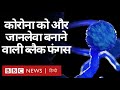 Coronavirus India Update : Mucormycosis यानी Black Fungus ने कोरोना को बनाया और जानलेवा (BBC Hindi)
