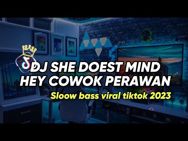 DJ SHE DOEST MIND X HEY COWOK PERAWAN | SLOW BASS VIRAL TIKTOK 2023 class=