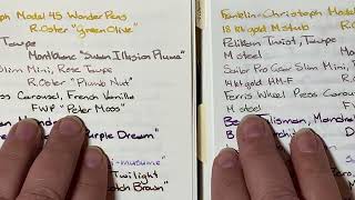 Comparing Cosmo Air Light paper with Tomoe River paper, particularly relating to writing size