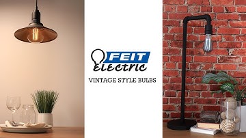 Feit Electric Vintage Style LED Bulbs