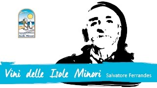 Proposta Vini - Vini Delle Isole Minori - Salvatore Ferrandes