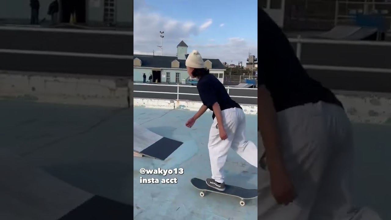 【SKATEBOARD】do u know BIGGER FLIP doooooooog!!