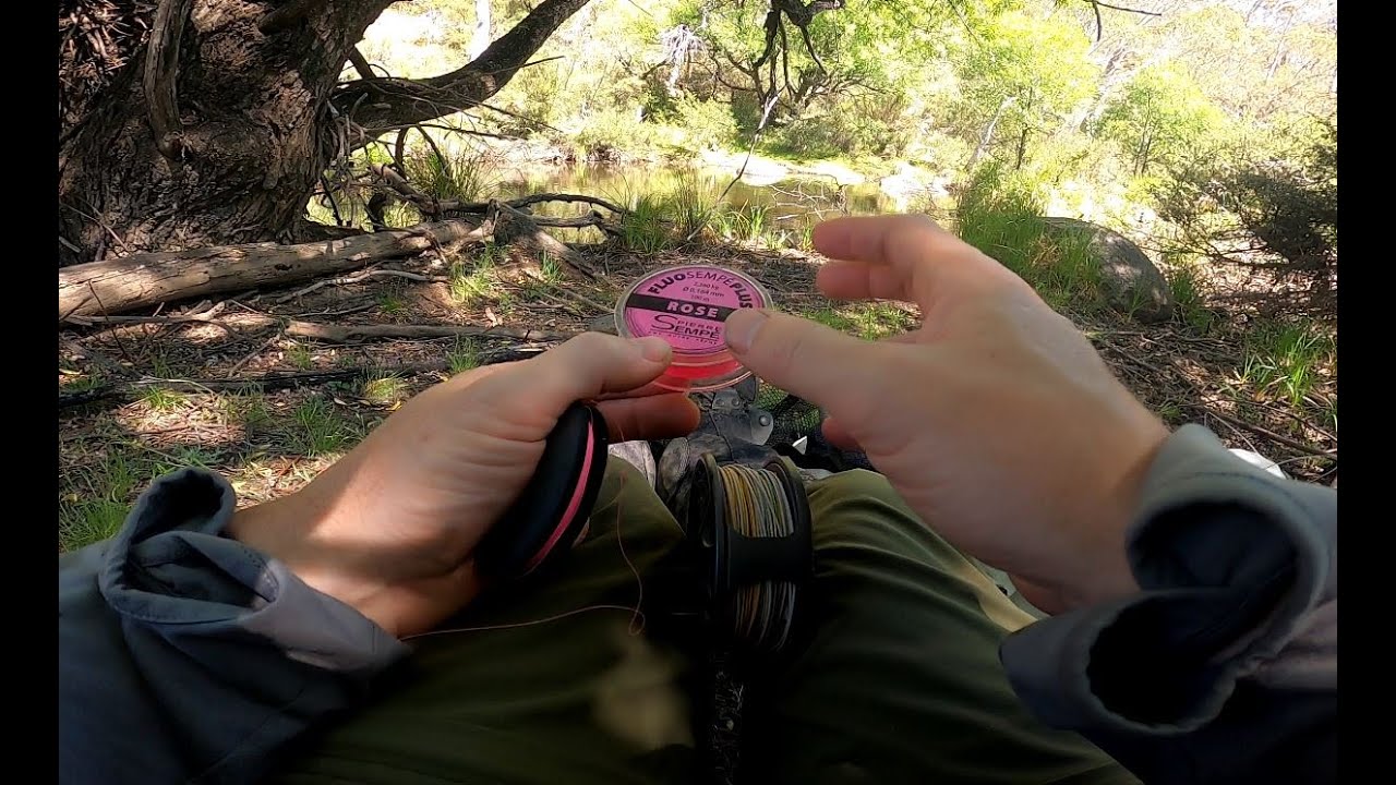 New and Improved Euro Rig & Leader Setup