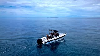 TROPICAL AUSTRALIA - insane spearfishing (golden snapper - Spanish mackeral - tusk fish) 🔫 🌊 🛥️