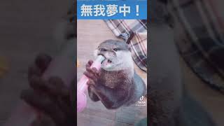 一生懸命な姿がかわいい