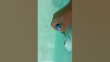 Leak around pool return