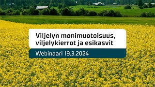 Viljelyn monimuotoisuus, viljelykierrot ja esikasvit -webinaari (19.3.2024 klo 13-15)