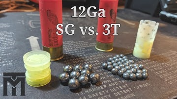 Cartuchos 12 Chumbo 3T e SG- Principais  Diferenças