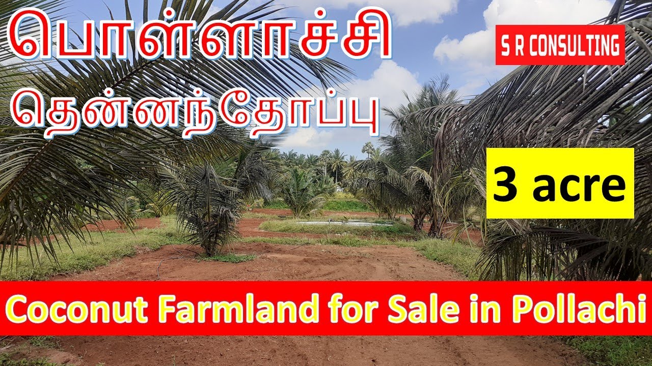 [4] Agriculture Land for Sale in Pollachi பொள்ளாச்சியில்