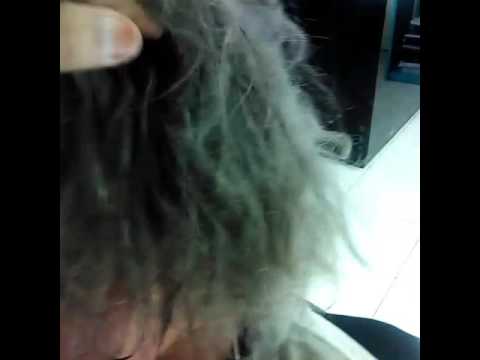 Cat  Rambut  Abu  Abu  silver grey part 2 YouTube