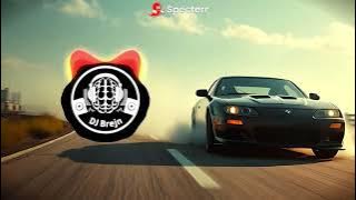 🔥DJ BREJN - Sunset Ride ( EDM )🔥