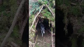 off grid proper moving to the woods