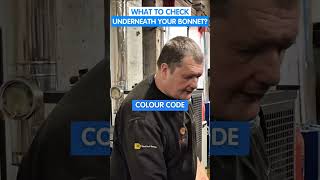 Stop guessing! Car makers actually color-code what you need to check under the hood. 🚗👇