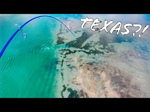 AMAZING TEXAS WATER for sight fishing!