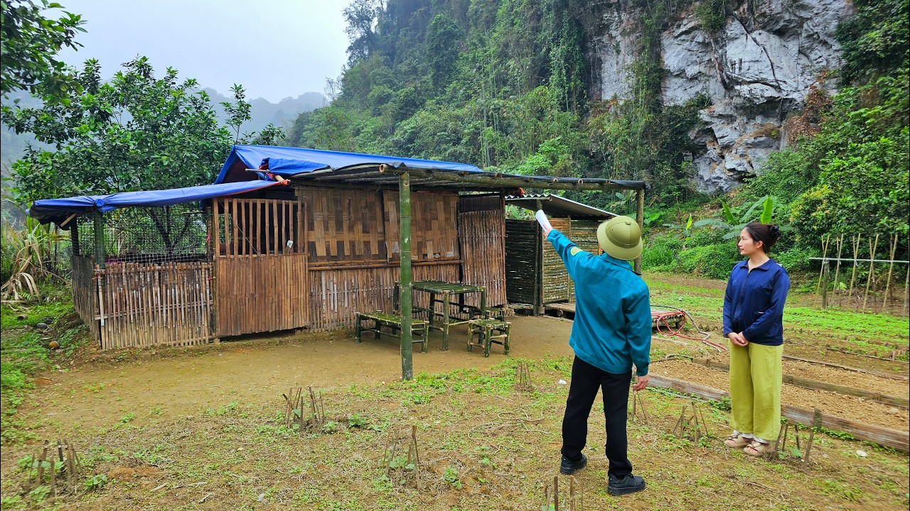 Building a new life from scratch - alone in the wilderness and a kind ...