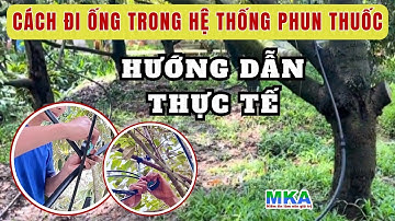 Thiết kế đường ống trong hệ thống phun thuốc như thế nào để béc trên cây không bị nghẹt và mất áp