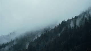 Ecepta - Hollow