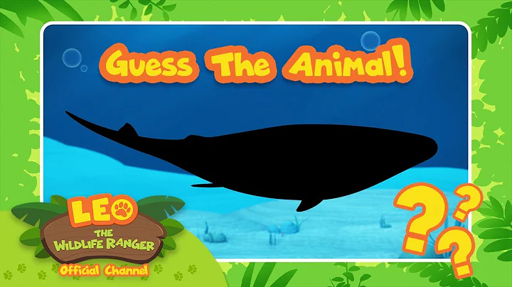 An animal that sings UNDERWATER?! | Guess the Animal! | BRAND NEW SERIES! | Leo the Wildlife Ranger