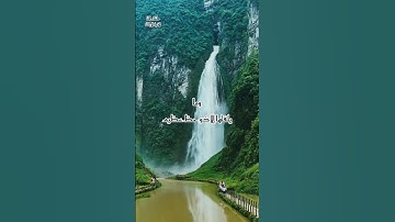 وما يلقاها الا الذين صبروا / القارئ ابراهيم شرف ابوطالب
