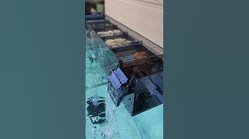 Top Sump Filter Setup for Aquarium | Best Bio Media Combination#aquarium#sump filter