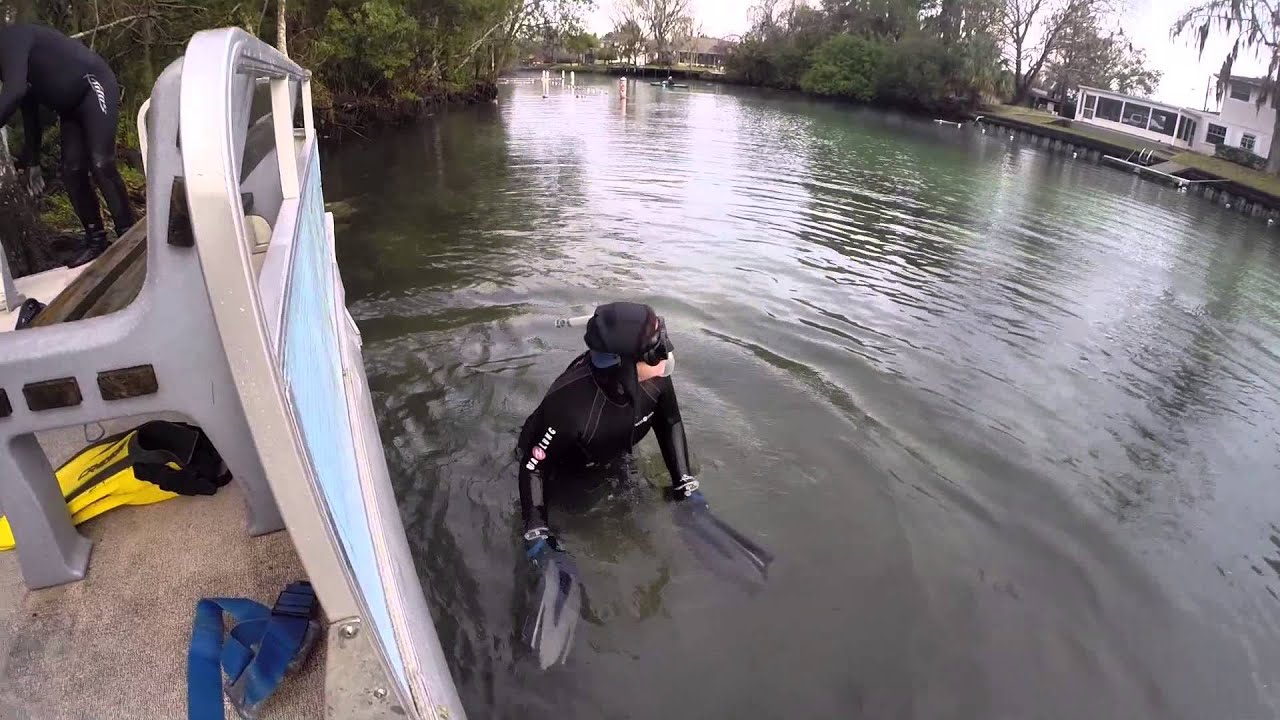 Crystal River Florida YouTube