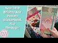 Happy Planner Brights and Pastels Sticker Book Flipthrough 2019!
