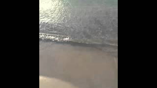 Martinique - L'anse Mitan