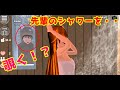 第80話「猫の恩返し!?」【サクラスクールシミュレーター】【sakura school simulator】