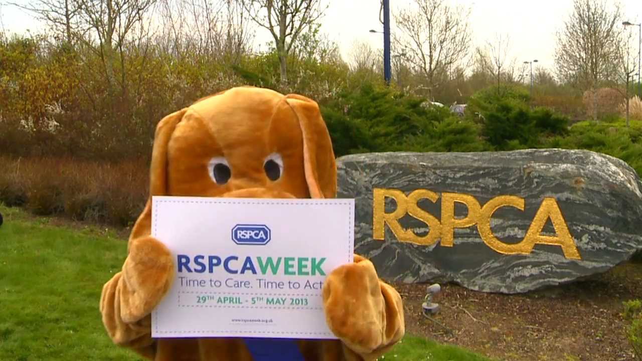 cruelty free kiko RSPCA Harlem Shake!