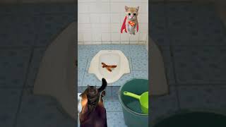 Pov Ada Tai Di Wc Sekolah