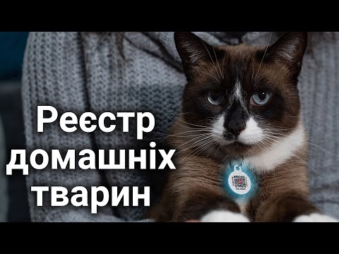 Єдиний реєстр домашніх тварин: що це і навіщо потрібне?