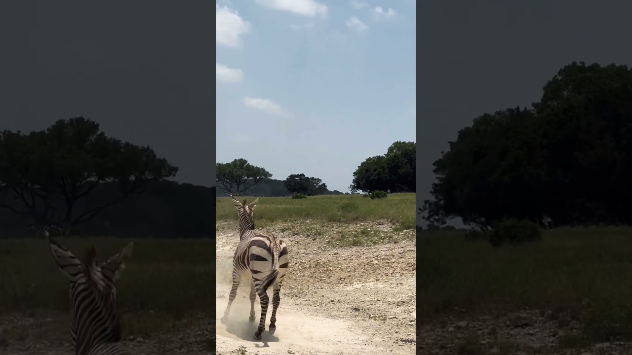 Fossil Rim Wildlife TX