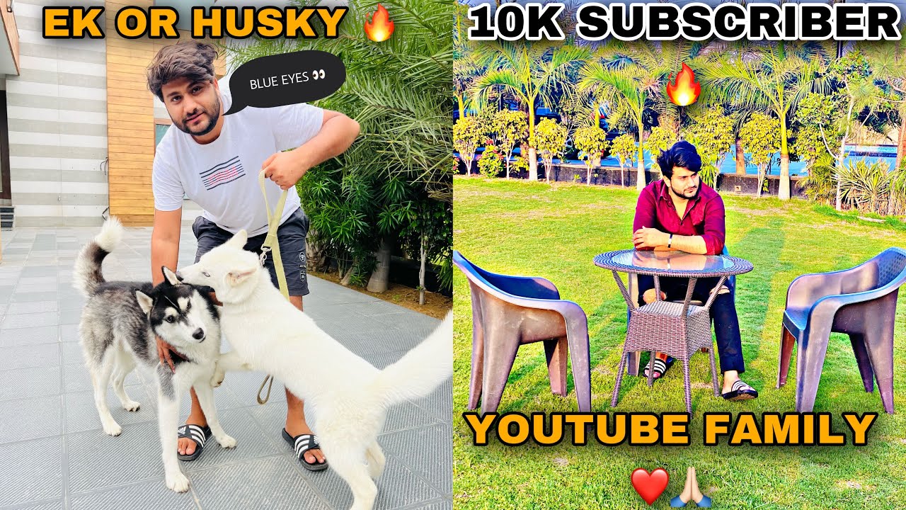 NEW HUSKY IN THE HOUSE🔥 SURPRISE FOR YOUTUBE FAMILY ️🧿 YouTube
