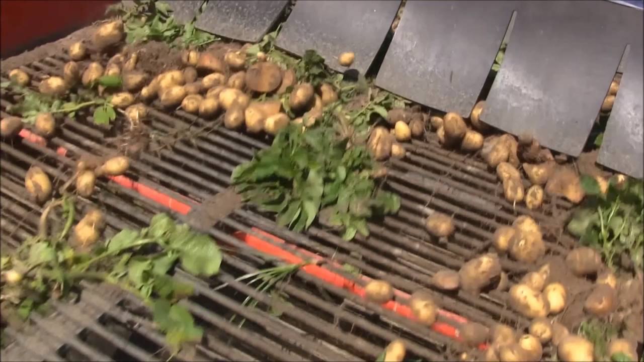 Imac 165NE100 SRRD USA