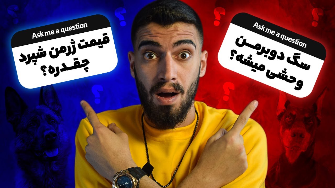 🔥 بیشترین سوالات شما؟🔴 از دوبرمن وحشی تا قیمت سگ ژرمن شپرد