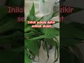 Pahala dzikir setelah shalat