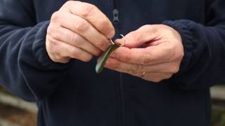 Fishing 101 - When to Use a Circle Hook