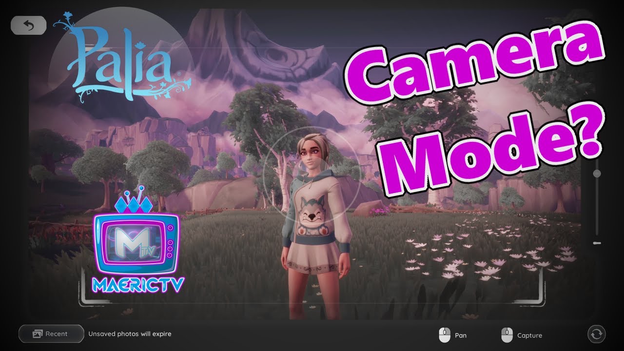 How To Use the In Game Camera Mode in Palia