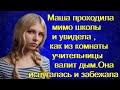 Маша проходила мимо школы и увидела , как из комнаты учительницы валит дым.Она испугалась и забежала