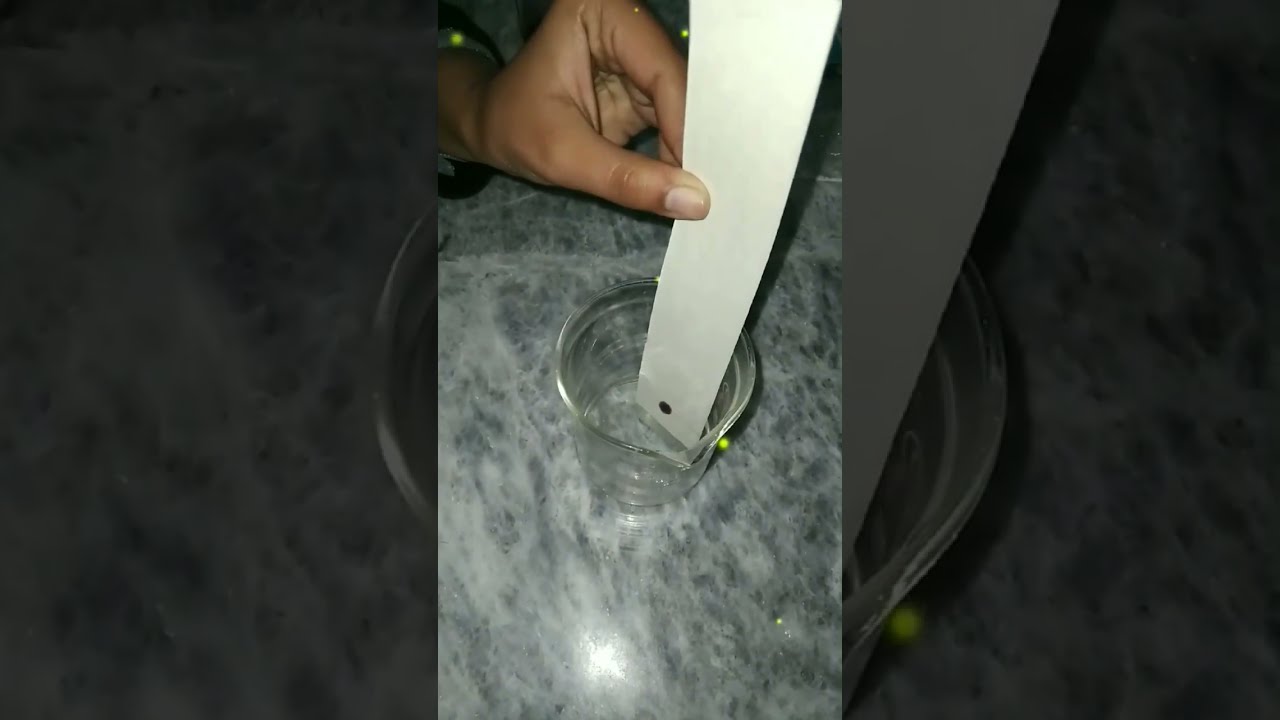 Paper Chromatography