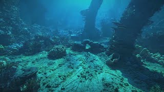 Underwater Test - 3D CG [Blender & Cycles]